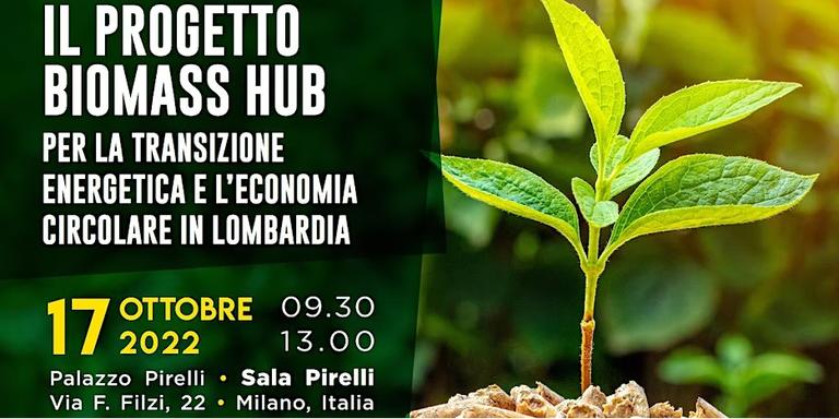 Il progetto BIOMASSHub per la transizione energetica e l'economia circolare in Lombardia