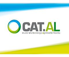 catal.png catal.png